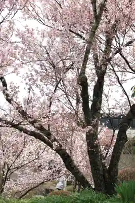 宝積山光前寺(長野県)