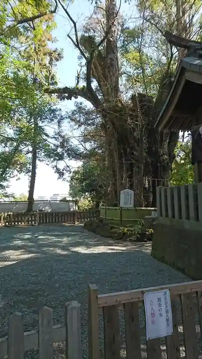 加藤神社の自然