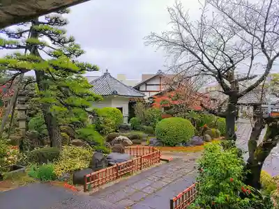 観音寺の庭園
