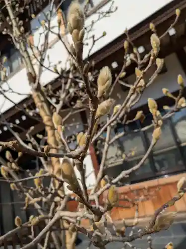 放生寺(東京都)