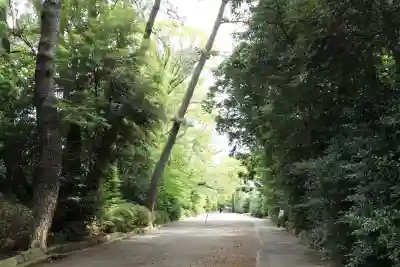 寒川神社(神奈川県)