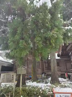 白山比咩神社(石川県)