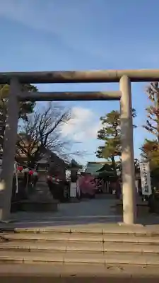 桜神宮の鳥居