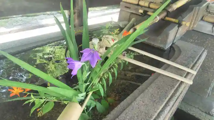 真正極楽寺(真如堂)の手水舎