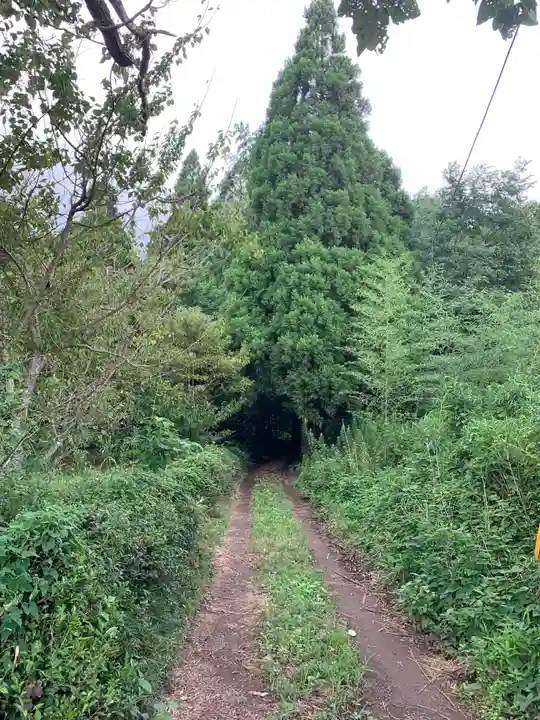 八幡神社の周辺