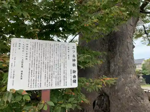 三ツ木神社(埼玉県)