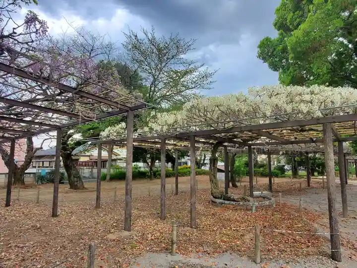 大天白神社(埼玉県)
