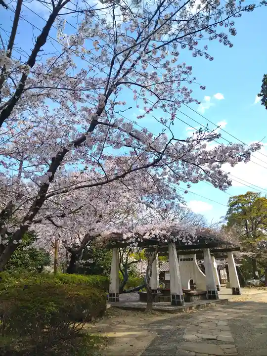 阿智神社の自然