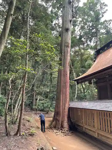 奥宮(鹿島神宮摂社)の建物その他