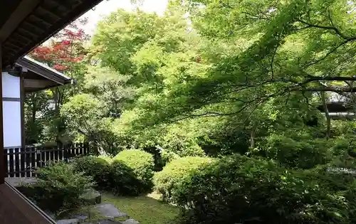 善法律寺(京都府)