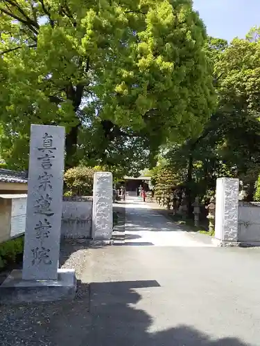 蓮花院の山門