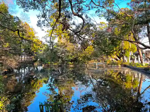 阿自岐神社の庭園