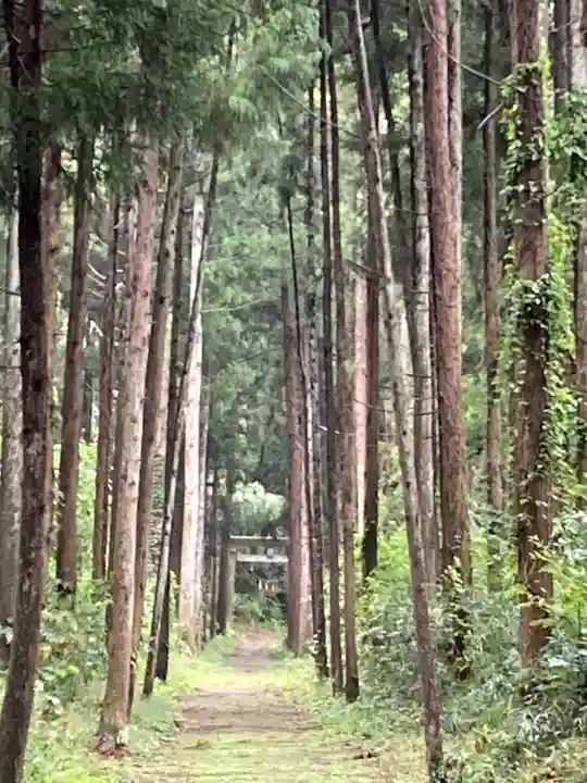 一之宮神社(千葉県)