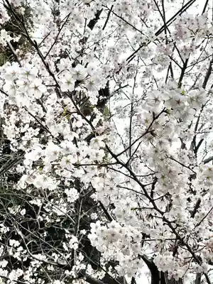 赤羽八幡神社(東京都)