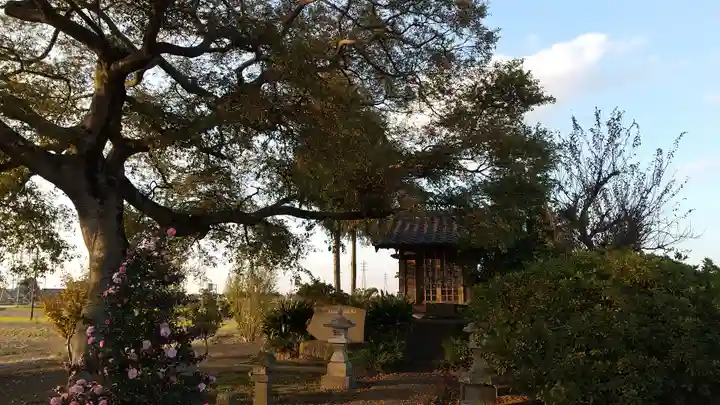 相野谷八幡神社(茨城県)