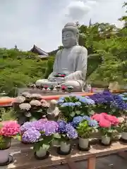 南法華寺（壷阪寺）(奈良県)