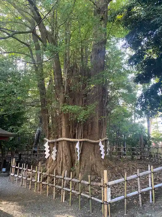 大國魂神社(東京都)