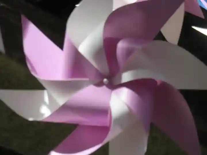 川越氷川神社(埼玉県)