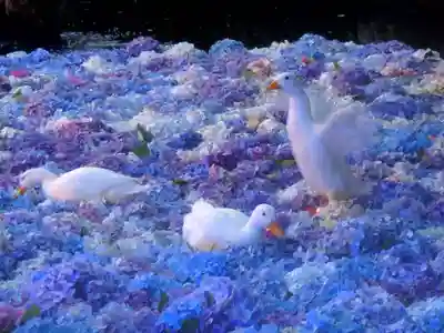 楽法寺(雨引観音)の動物