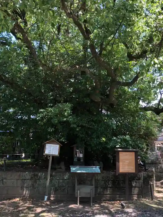 闘鶏神社(和歌山県)