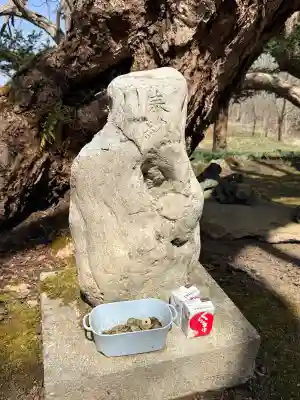 橡木山白木神社の{uncategorized: "未分類", other: "その他", undefined: "問題あり", building: "その他建物", grave: "お墓", sacred_gate: "鳥居", guardian: "狛犬", statue: "像", buddha: "仏像", history: "歴史", nature: "自然", garden: "庭園", animal: "動物", pagoda: "塔", temizu: "手水舎", mountain_gate: "山門・神門", sanctuary: "本殿・本堂", subordinate: "末社・摂社", art: "芸術", scenery: "景色", jizo: "地蔵", ema: "絵馬", goshuin: "御朱印", omikuji: "おみくじ", items: "授与品その他", amulet: "お守り", goshuincho: "御朱印帳", eats: "食事", festival: "お祭り", votive_dance: "神楽", shichigosan: "七五三参", wedding: "結婚式", experience: "体験その他", initially: "初詣", around: "周辺", anti_infection: "感染症対策"}