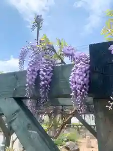 仁玄寺(北海道)(2025年06月12日(木) 23時44分43秒投稿)