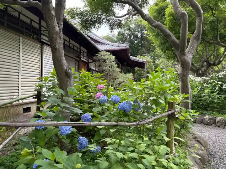 頼光寺(兵庫県)