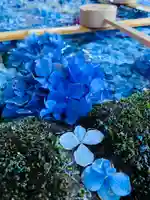 土津神社|こどもと出世の神さまの手水舎