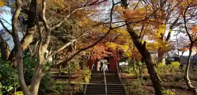 本土寺(千葉県)