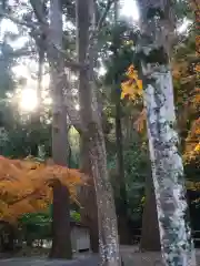 伊勢神宮外宮（豊受大神宮）の自然