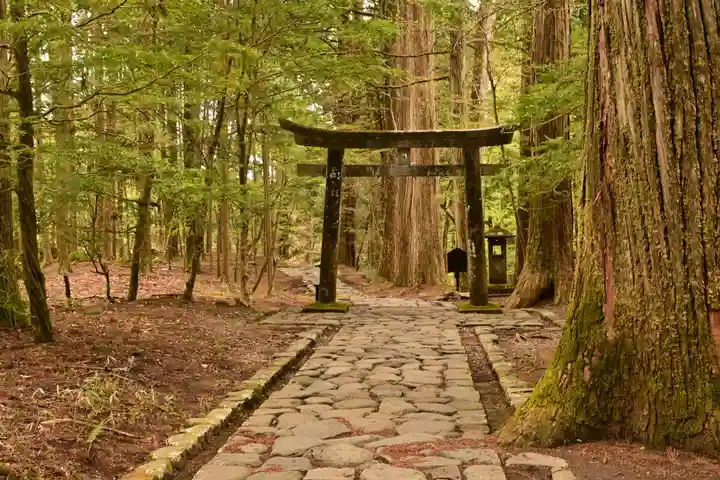 瀧尾神社(日光二荒山神社別宮)(栃木県)