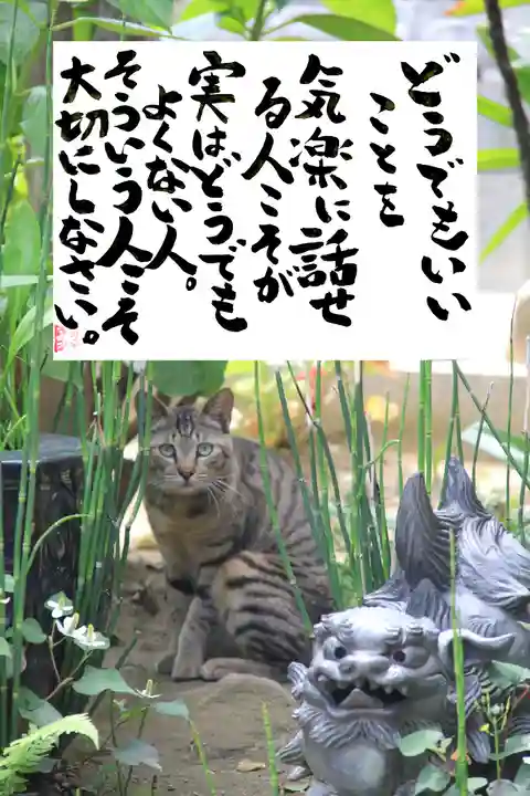 専念寺の動物
