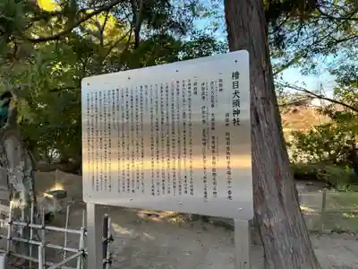 糟目犬頭神社の歴史