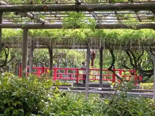 亀戸天神社の庭園