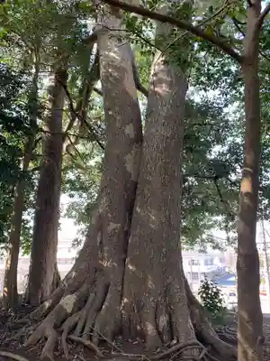 皇産霊神社(千葉県)