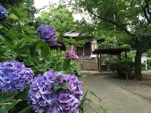 長谷寺(福岡県)