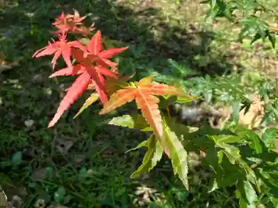 瑞泉寺(神奈川県)