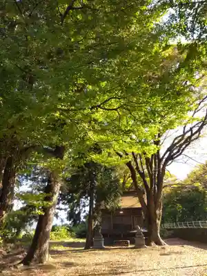 白山神社(福井県)