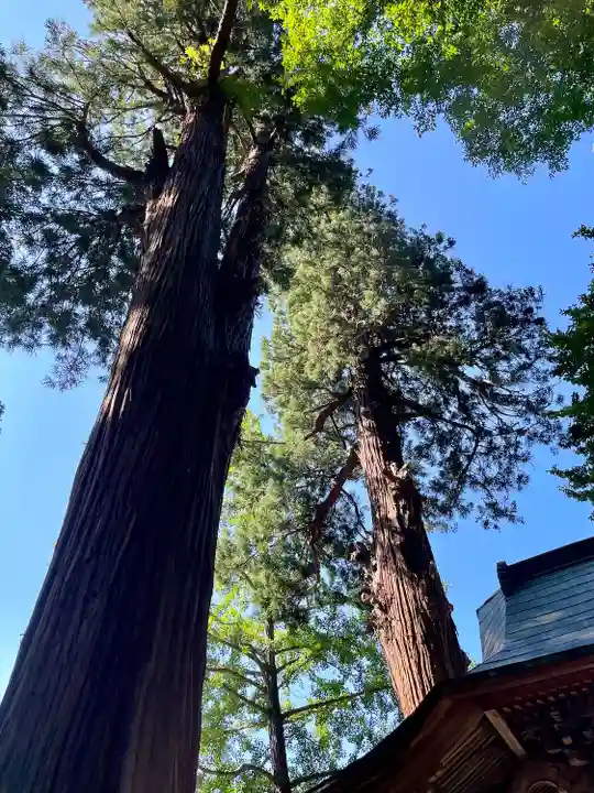 厳島神社(嚴島神社)(福島県)