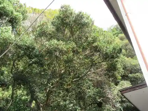 八雲神社（鎌倉・大町）の自然