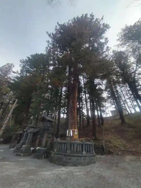 諏訪大社下社春宮(長野県)