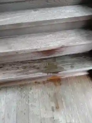 賀羅加波神社のその他建物