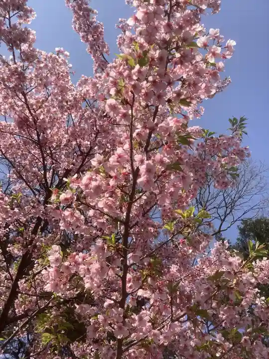 白毫寺(愛知県)