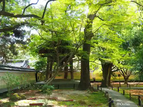 青蓮院門跡(京都府)