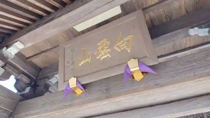 善竜寺の山門・神門