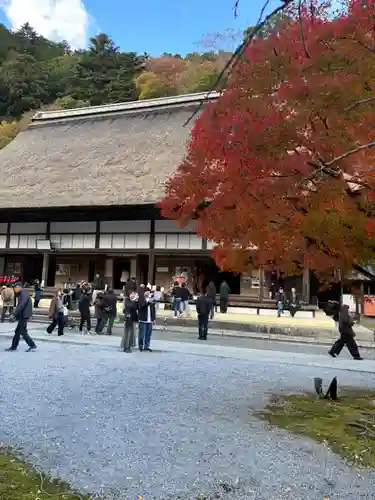 永源寺(滋賀県)
