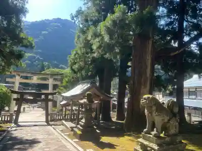 上梨白山宮の{uncategorized: "未分類", other: "その他", undefined: "問題あり", building: "その他建物", grave: "お墓", sacred_gate: "鳥居", guardian: "狛犬", statue: "像", buddha: "仏像", history: "歴史", nature: "自然", garden: "庭園", animal: "動物", pagoda: "塔", temizu: "手水舎", mountain_gate: "山門・神門", sanctuary: "本殿・本堂", subordinate: "末社・摂社", art: "芸術", scenery: "景色", jizo: "地蔵", ema: "絵馬", goshuin: "御朱印", omikuji: "おみくじ", items: "授与品その他", amulet: "お守り", goshuincho: "御朱印帳", eats: "食事", festival: "お祭り", votive_dance: "神楽", shichigosan: "七五三参", wedding: "結婚式", experience: "体験その他", initially: "初詣", around: "周辺", anti_infection: "感染症対策"}