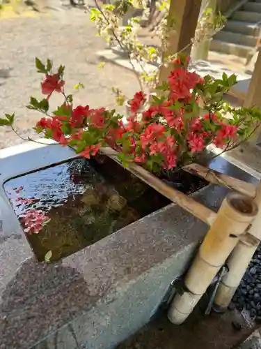 高司神社〜むすびの神の鎮まる社〜(福島県)