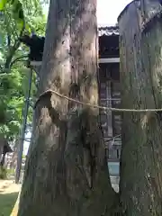 日吉神社(福井県)