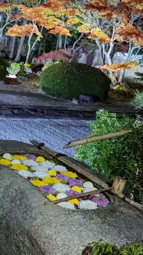 妙顯寺（妙顕寺）(京都府)